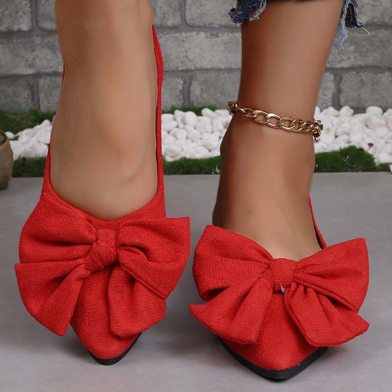 Chaussures Plates Bico Pointu - Femme - Elysa